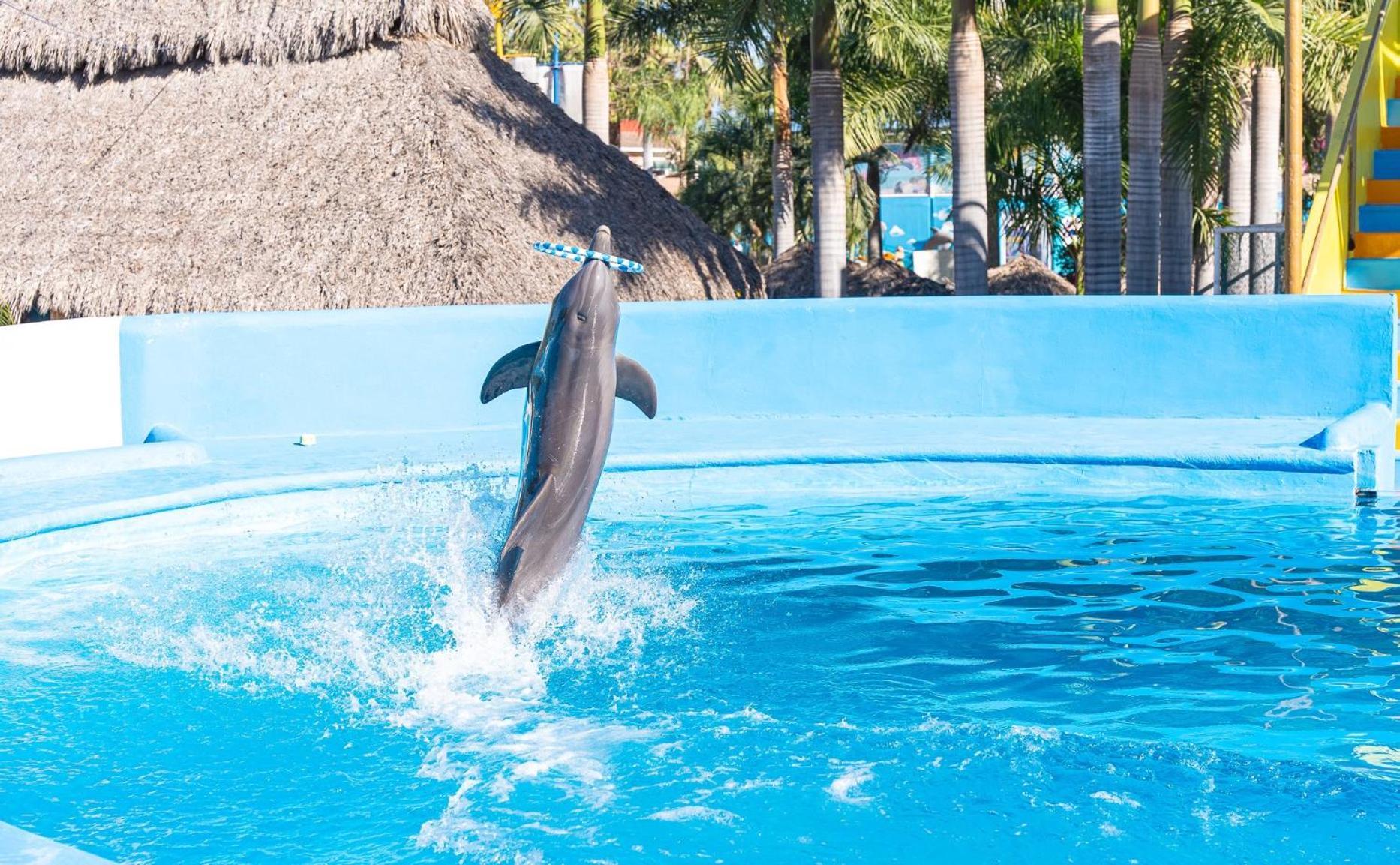 Splash Inn Nuevo Vallarta & Parque Acuatico Екстер'єр фото
